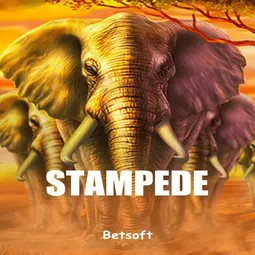 Stampede